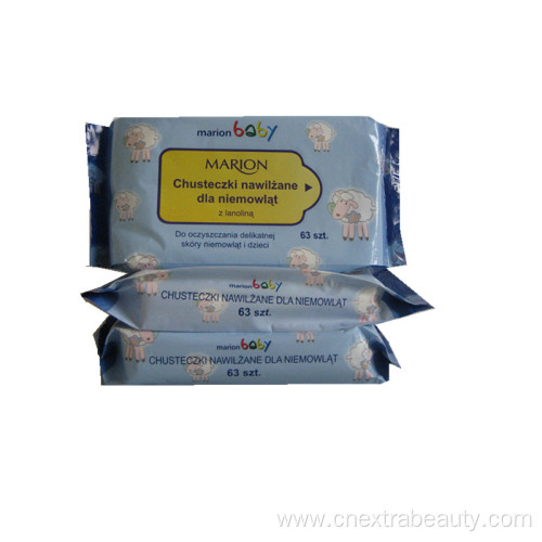 Eco Friendly Cleaning Multifunction Cleaning Wet Wipes